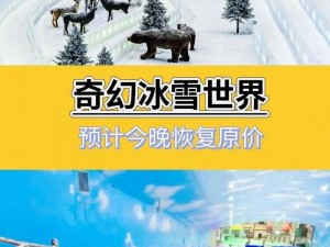 冰之动物园游玩攻略：探索奇幻冰雪世界，动物园之旅精彩纷呈