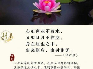 心似莲花开是什么意思,心似莲花开的含义是什么？