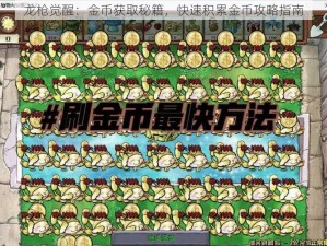 龙枪觉醒：金币获取秘籍，快速积累金币攻略指南