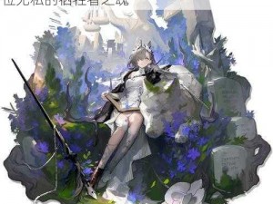 明日方舟：纪念逝去的英雄，缅怀那四十一位无私的牺牲者之魂