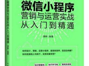 微微一笑很倾城公司系统玩法全面解析：从入门到精通的实战指南