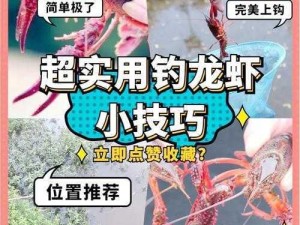 明日之后攻略：龙虾垂钓指南，掌握最佳钓点轻松钓获珍稀龙虾技巧分享