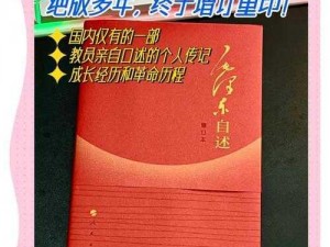 《丹哥的核心：时代风云中的领航者》