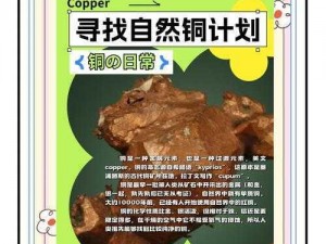 铜须：探索其历史演变与现代技术革新，洞悉铜质胡须的魅力与实用功能