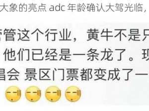 adc年龄确认大驾光临大象的亮点 adc 年龄确认大驾光临，大象的亮点都有哪些？