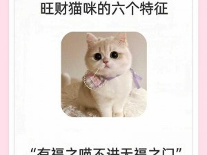 招财纳福：解读招财猫式神搭配的奥秘与文化内涵