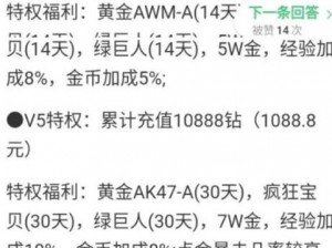 大圣之怒VIP等级价格全面解析：从初级到高级的价格汇总介绍