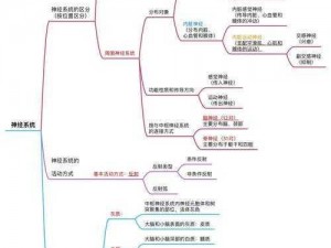 脑回路揭秘：神经网络图谱的交互式预览之旅