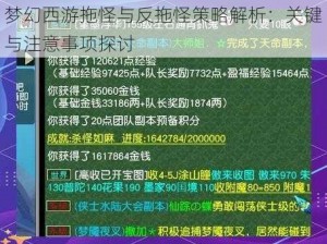 梦幻西游拖怪与反拖怪策略解析：关键与注意事项探讨