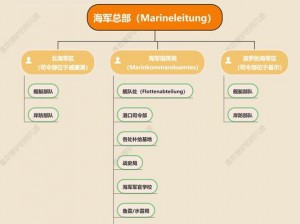 二战海军风云：海军军官的角色与职责研究