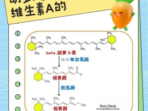 胡萝卜素精华，让女孩子爱吃男生的胡萝卜保持青春活力