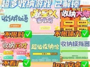 收纳物语第65关喵喵清吧通关攻略：轻松掌握，畅享收纳乐趣