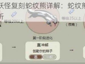 关于口袋妖怪复刻蛇纹熊详解：蛇纹熊属性技能全图鉴分析