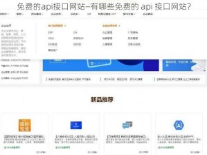 免费的api接口网站—有哪些免费的 api 接口网站？