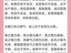 九阴真经峨眉巅峰功法搭配宝典：细节解析与最强组合揭秘