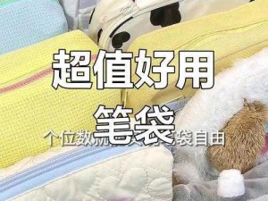 六年级下面大容量笔袋，轻松装下十几支笔