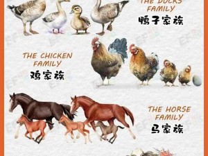 农场动物FarmAnimals、在农场动物 FarmAnimals 的世界中，它们过着怎样的生活？