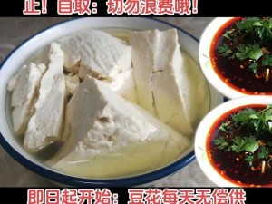 豆花官方网站免费,豆花官方网站免费入口