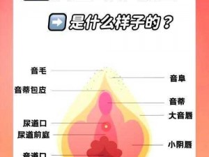 大手到了秘密小花园—当大手无意间闯入了秘密小花园会发生什么呢？