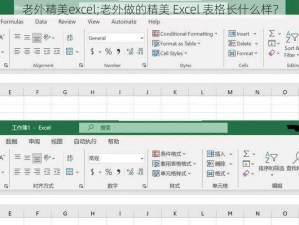 老外精美excel;老外做的精美 Excel 表格长什么样？