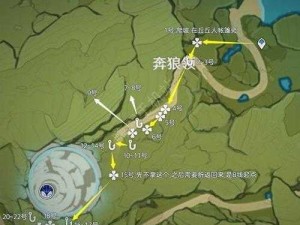 原神钩钩果采集地点大揭秘：作用介绍与高效采集攻略