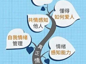 第二人生：情商增长之道与关键策略的实践探索