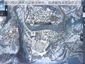 黎明觉醒70级武器挑选攻略全解析：选择最佳装备助你战斗力飙升