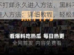 黑料不打烊永久进入方法、黑料不打烊永久进入方法：详细教程，轻松掌握