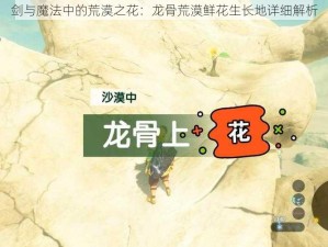 剑与魔法中的荒漠之花：龙骨荒漠鲜花生长地详细解析