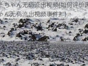 黑土ちゃん无码流出视频(如何评价黑土ちゃん无码流出视频事件？)