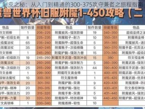 制皮之秘：从入门到精通的300-375攻守兼备之旅程指南