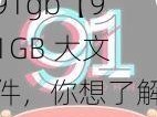 91gb【91GB 大文件，你想了解它的什么？】