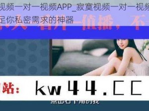 寂寞视频一对一视频APP_寂寞视频一对一视频 APP：满足你私密需求的神器