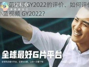 宏翔小蓝视频GY2022的评价、如何评价宏翔小蓝视频 GY2022？