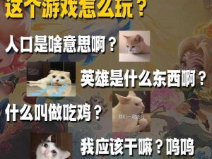 铲屎官新手入门：老玩家详解铲屎必备技能