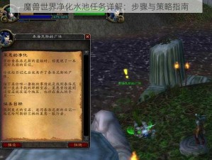 魔兽世界净化水池任务详解：步骤与策略指南