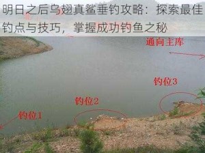 明日之后乌翅真鲨垂钓攻略：探索最佳钓点与技巧，掌握成功钓鱼之秘