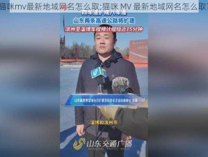 猫咪mv最新地域网名怎么取;猫咪 MV 最新地域网名怎么取？