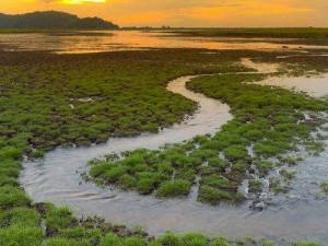 以洼相关的截图预览为核心：探索洼地地形特征的视觉展现新视界