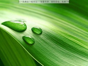 九一免费版下载网站——海量资源，绿色安全，免费下载