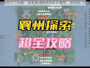 天涯明月刀攻略：探索最佳的从龙砭石推荐，领悟独门玩法