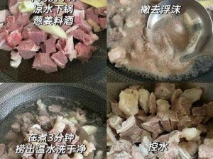 小森风味家常菜：番茄炖肉醇香配方，美味生活从这里开始