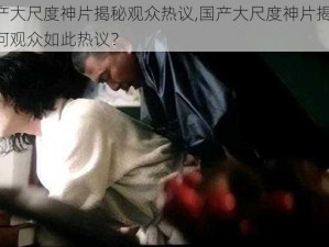 国产大尺度神片揭秘观众热议,国产大尺度神片揭秘，为何观众如此热议？