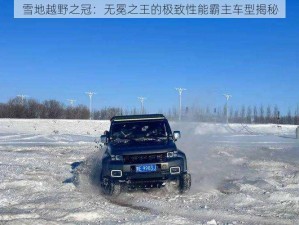 雪地越野之冠：无冕之王的极致性能霸主车型揭秘