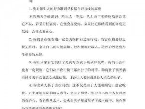 诺亚之心育马心得：马匹成长之路的实践与分享