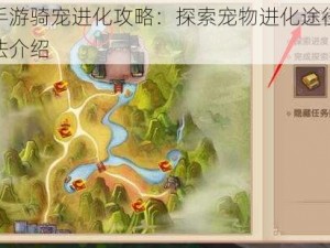 寻仙手游骑宠进化攻略：探索宠物进化途径与提升方法介绍