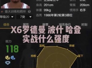 最强NBA中的波什属性详解与专属技能组合全面介绍