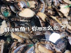 鲍鱼和牛奈营养丰富，口感鲜美，可以一起食用