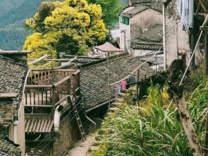 田园风情】探索风流在乡村—探索田园风情，领略乡村风流