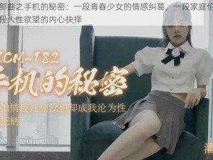 潘甜甜三部曲之手机的秘密：一段青春少女的情感纠葛，一段家庭伦理的道德挣扎，一段人性欲望的内心抉择